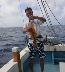 宜野湾でアオリイカ