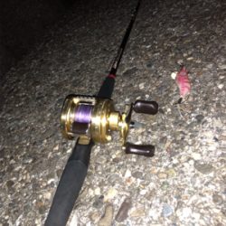 オクトパッシング