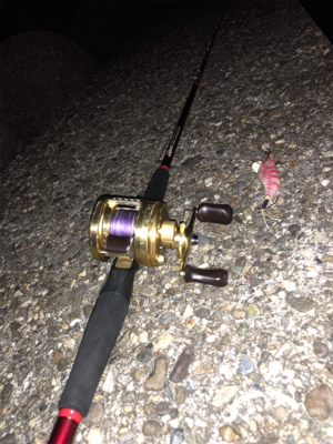 オクトパッシング