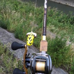 落ちパクでゲット