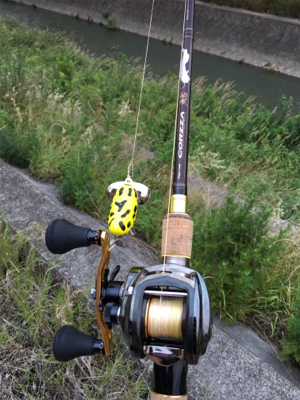 落ちパクでゲット