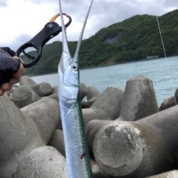 ヒラばらしてダツw