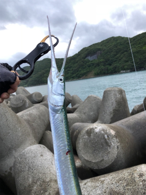 ヒラばらしてダツw