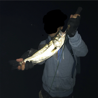 巨ボラのせいで玉網が折れた(･_･;