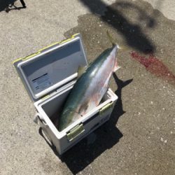 ショアジギング