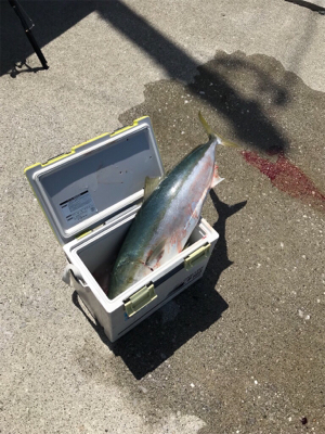 ショアジギング