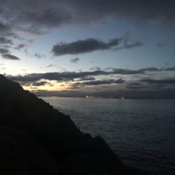 青物❌  →  足下⭕️