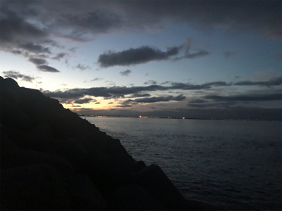 青物❌  →  足下⭕️