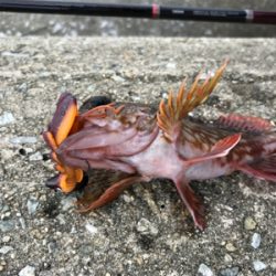 ちょっとの時間で