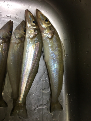 キスおいしい！！！！