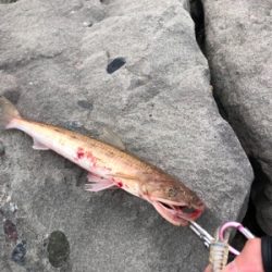 エソエソエソエソ