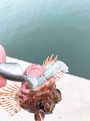 テキサスリグチャレンジ