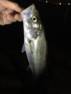 奇跡の淀川五目
