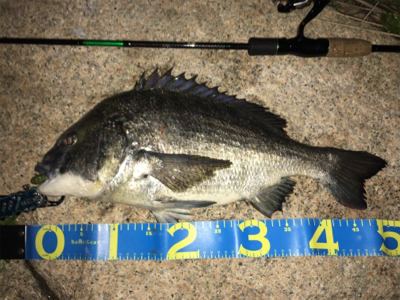 淀川ブリームゲーム ブラックビックモンスタ…