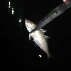 久しぶりにプチ遠征？