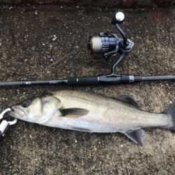 寝坊、雨上がりの昼ジーザス