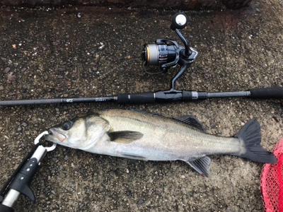 寝坊、雨上がりの昼ジーザス