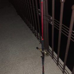 オクトパッシング