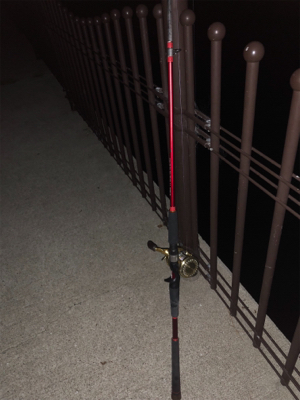 オクトパッシング