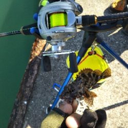 キスが釣れない…