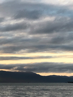 ファミリーフィッシング