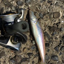 チョイ投げキス釣り