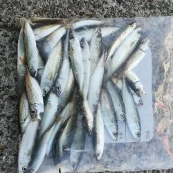 食品コンビナート