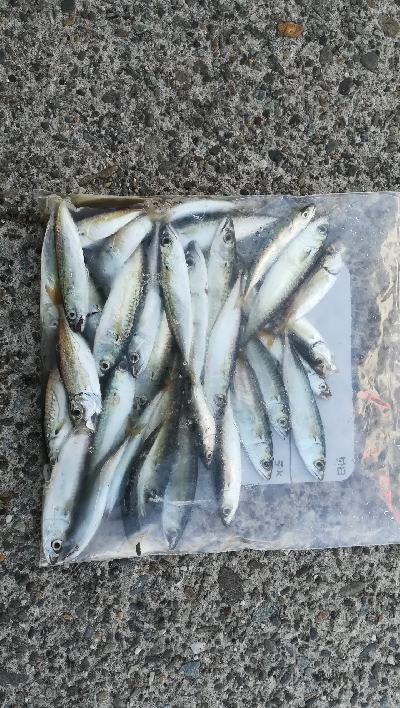 食品コンビナート