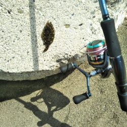 ジギング不発のキッシング