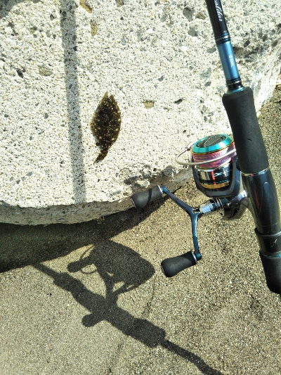 ジギング不発のキッシング