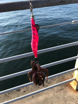 2週連続キロアップ