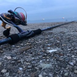 アクションなしのフリーフォールで