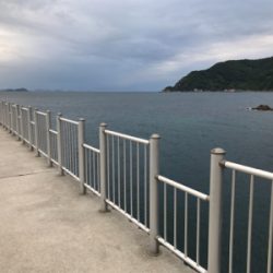 フカセ釣り サバとグレ