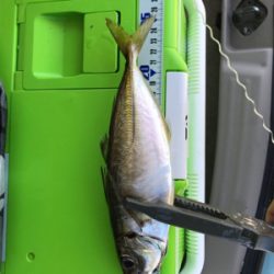 24時間アジング