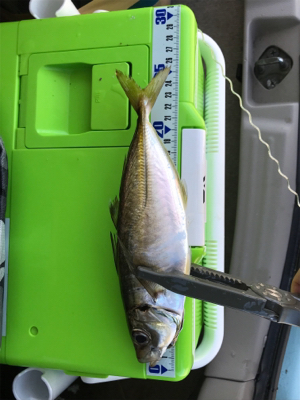 24時間アジング