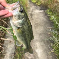 初五名ダムその他もろもろ