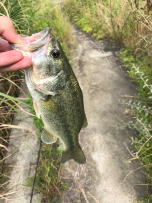 初五名ダムその他もろもろ