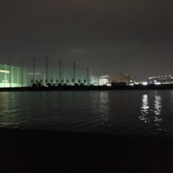 武庫川遠征〜淀川ブリームゲーム〜