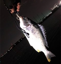 武庫川チニング