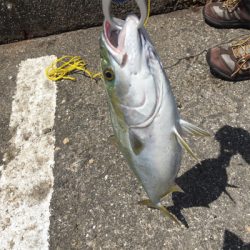 初めて釣れました