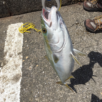 初めて釣れました