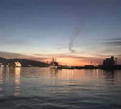 根掛かりからのガシラ