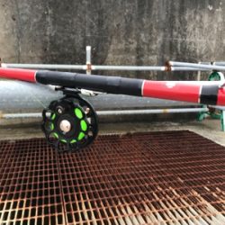 黒鯛釣りは楽しい！