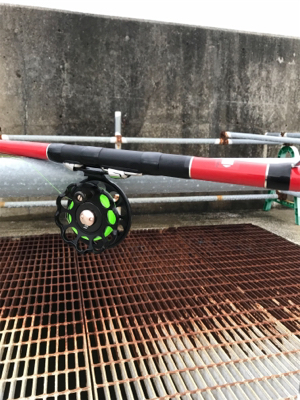 黒鯛釣りは楽しい！