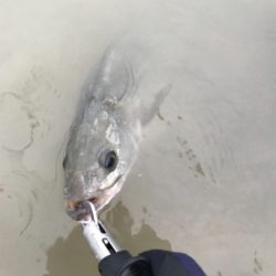 雨後増水ウェーディング