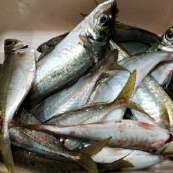 ハッピーフィッシング直江津にて