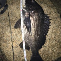 チヌ祭り‼️ 年無しゲット❗️