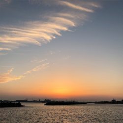 20センチオーバー