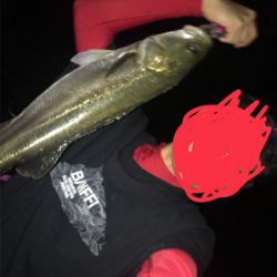 短時間、荒川シーバス