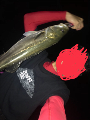 短時間、荒川シーバス